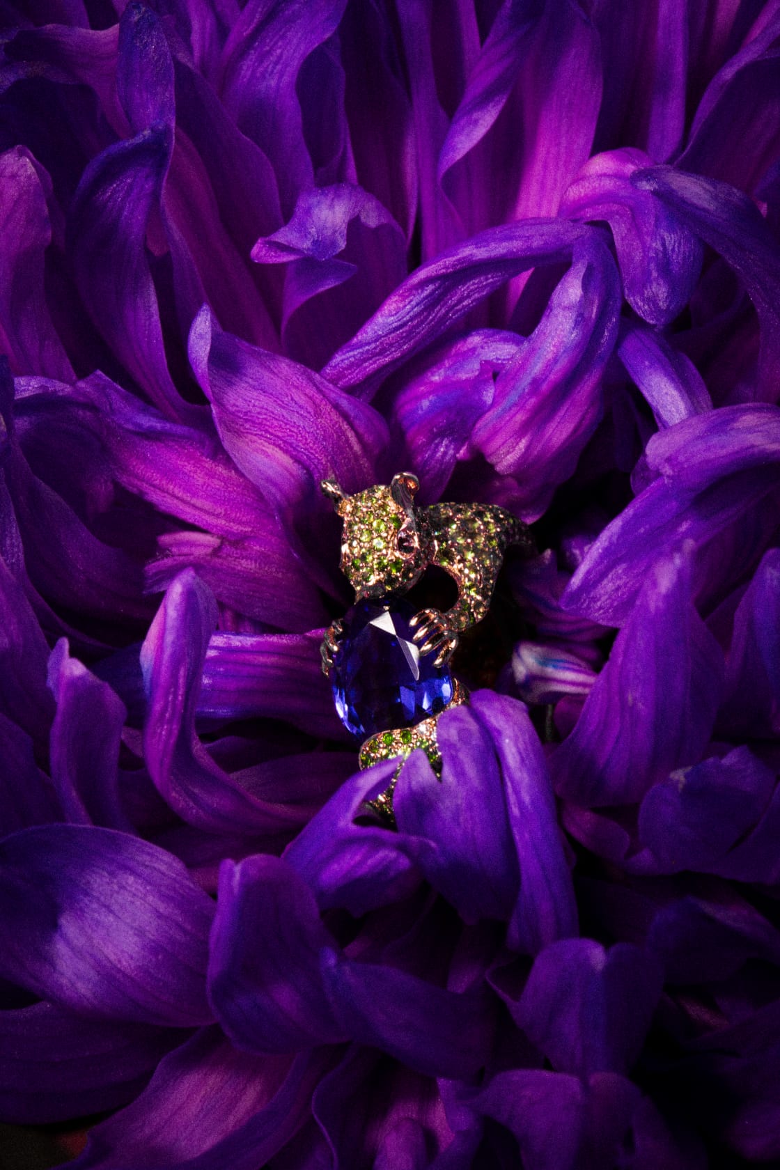 Im Waldpark - Green Blue Ori